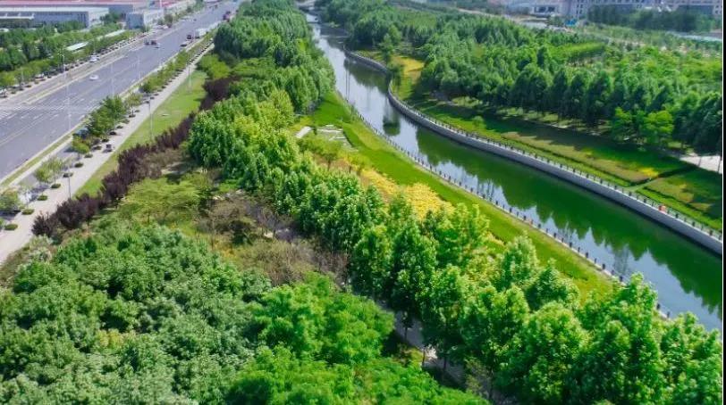 8#楼王加推在即 | 经开顶流热盘，这一次万万别错过！！