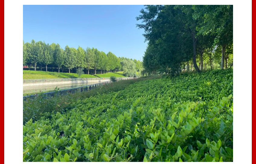 年终薅好房，，，这个明星红盘把“出圈”举行究竟！！